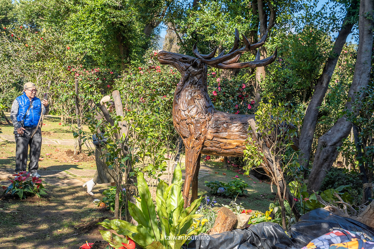 【陽明山花卉試驗中心】陽明山士林上花景點推薦.鬱金香.梅花