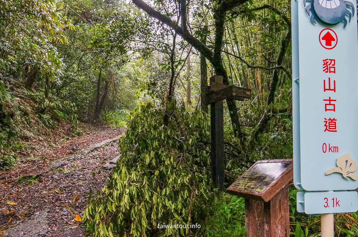 【貂山古道.九份.雙溪】台北健行.美食一日遊