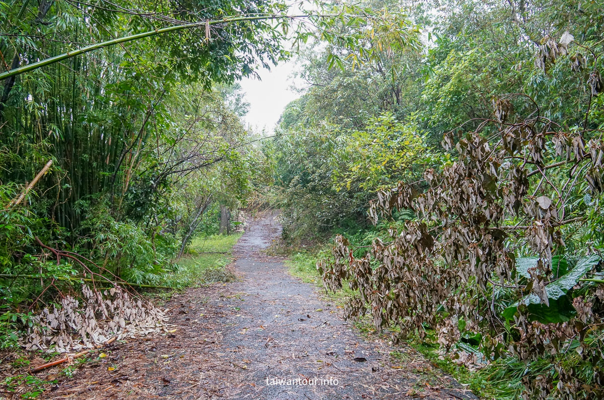【貂山古道.九份.雙溪】台北健行.美食一日遊
