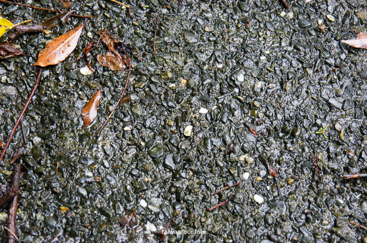 【貂山古道.九份.雙溪】台北健行.美食一日遊