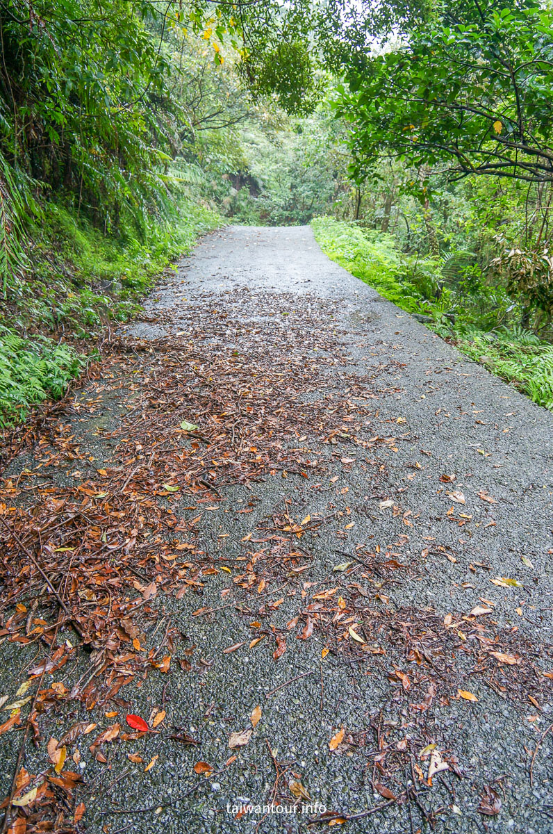 【貂山古道.九份.雙溪】台北健行.美食一日遊