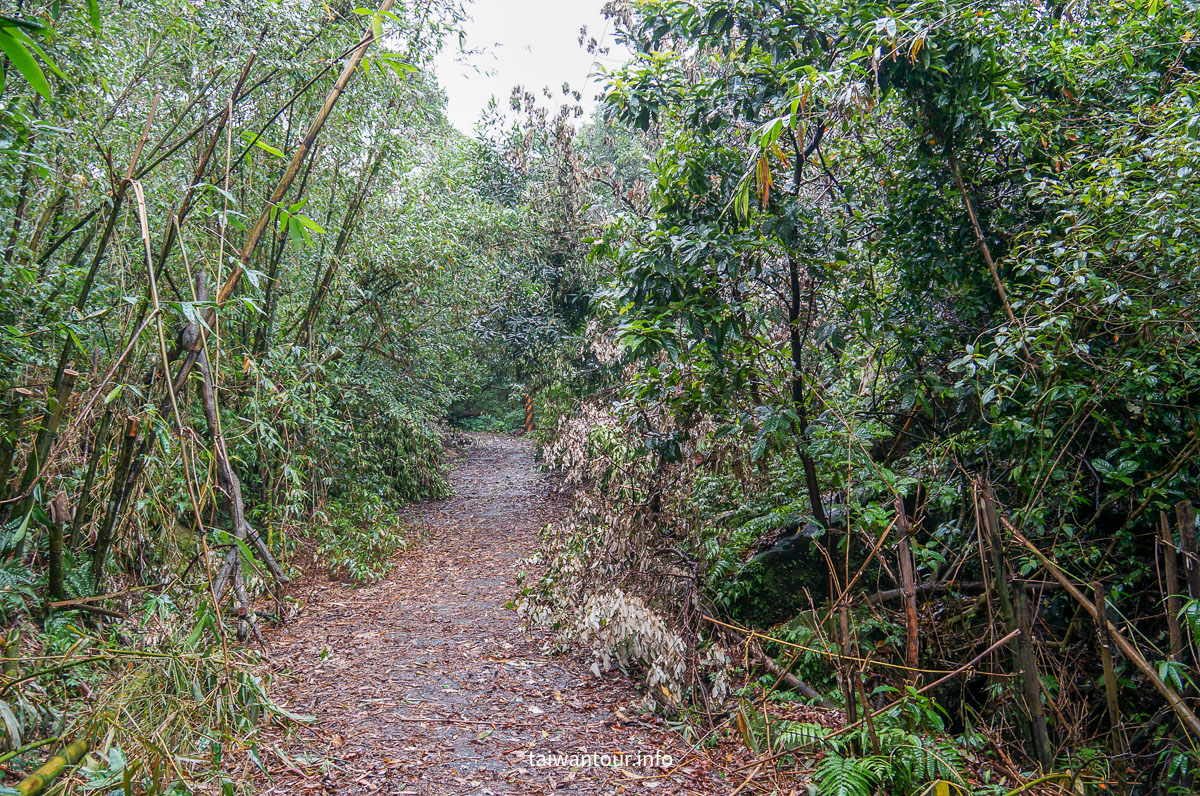 【貂山古道.九份.雙溪】台北健行.美食一日遊