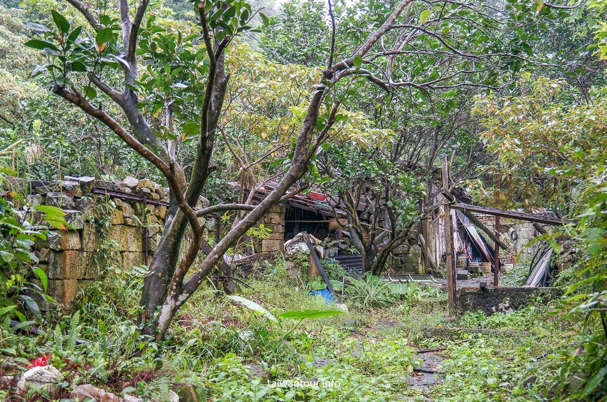 【貂山古道.九份.雙溪】台北健行.美食一日遊