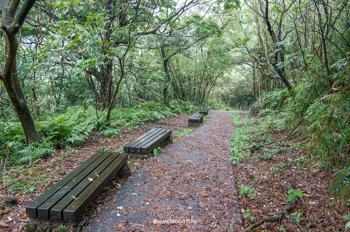 【貂山古道.九份.雙溪】台北健行.美食一日遊