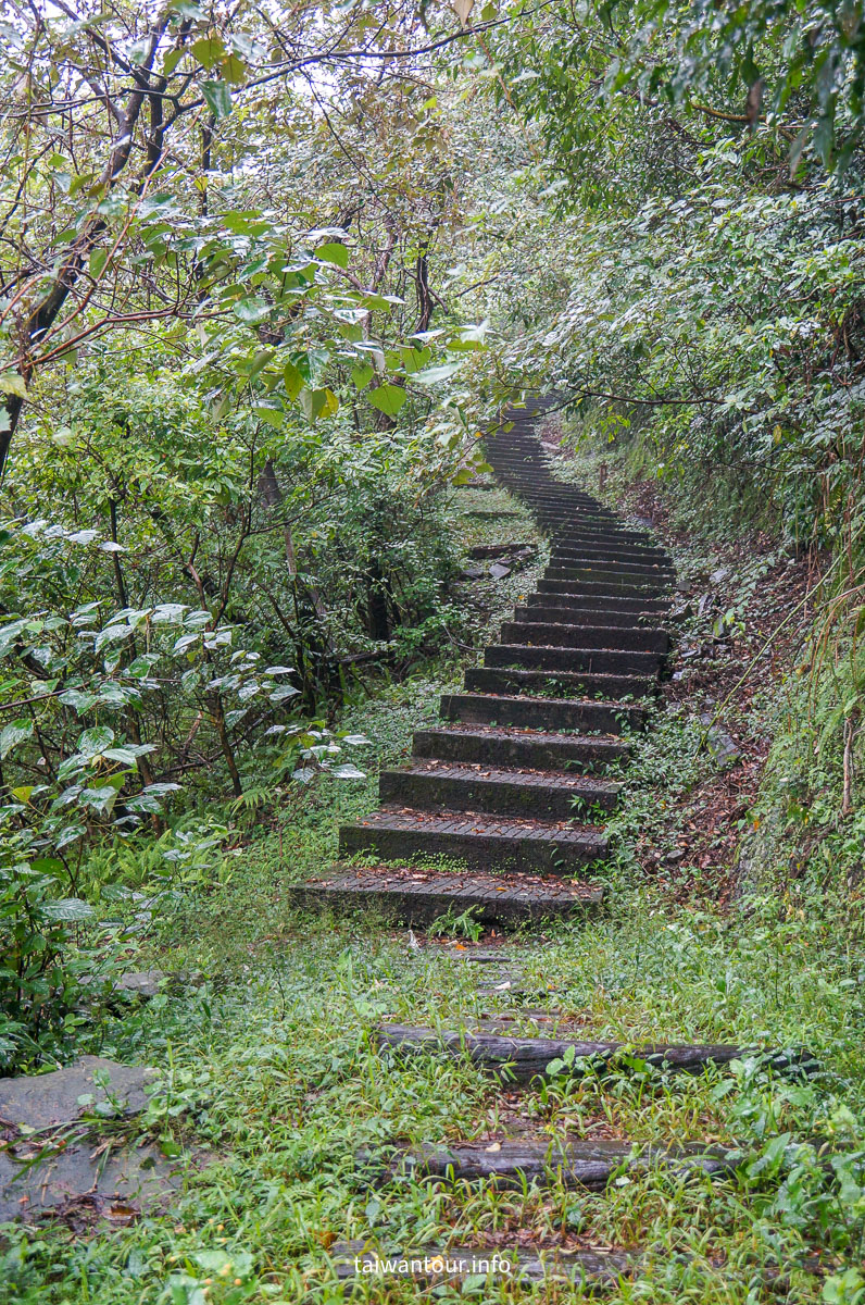 【貂山古道.九份.雙溪】台北健行.美食一日遊