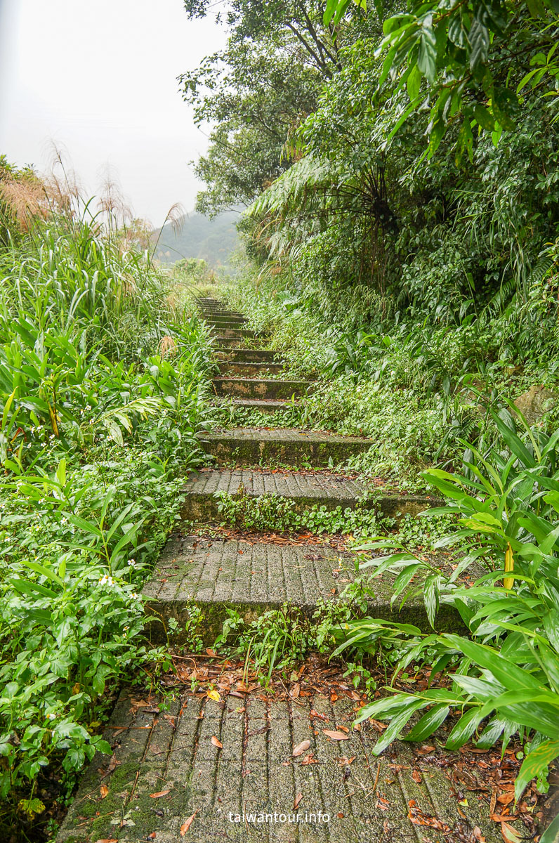 【貂山古道.九份.雙溪】台北健行.美食一日遊