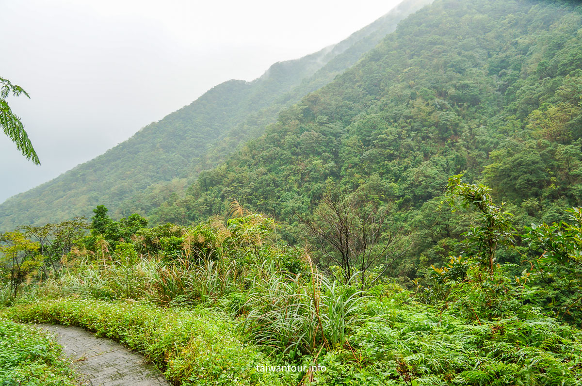 【貂山古道.九份.雙溪】台北健行.美食一日遊