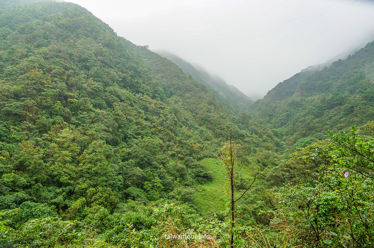 【貂山古道.九份.雙溪】台北健行.美食一日遊