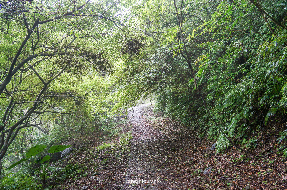 【貂山古道.九份.雙溪】台北健行.美食一日遊
