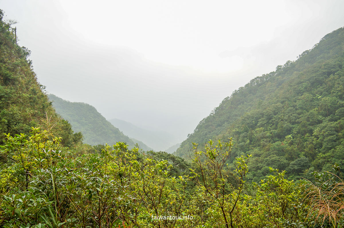 【貂山古道.九份.雙溪】台北健行.美食一日遊
