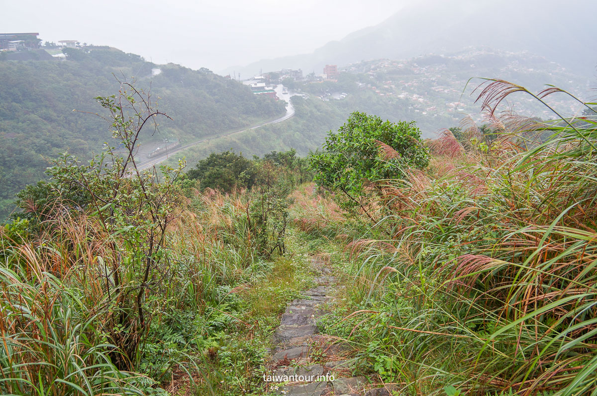 【貂山古道.九份.雙溪】台北健行.美食一日遊