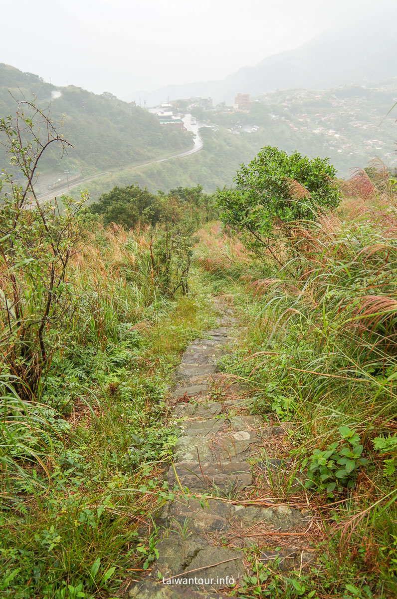 【貂山古道.九份.雙溪】台北健行.美食一日遊