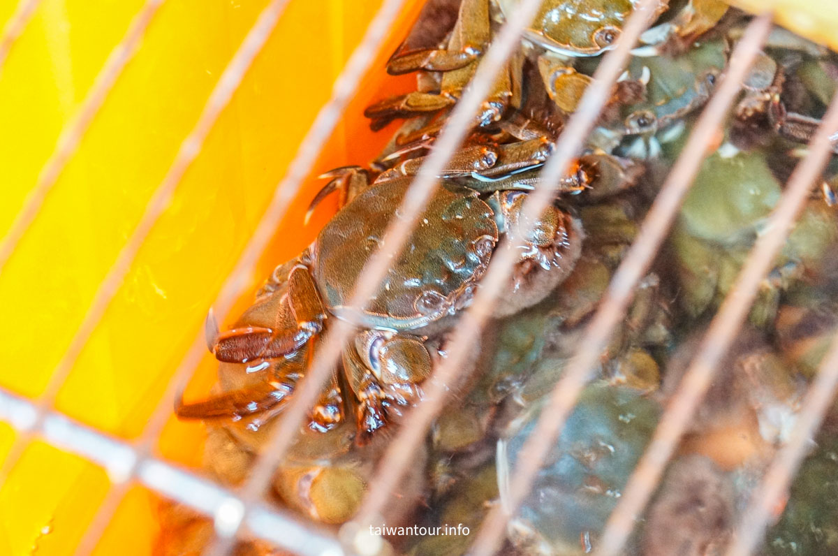 【貂山古道.九份.雙溪】台北健行.美食一日遊