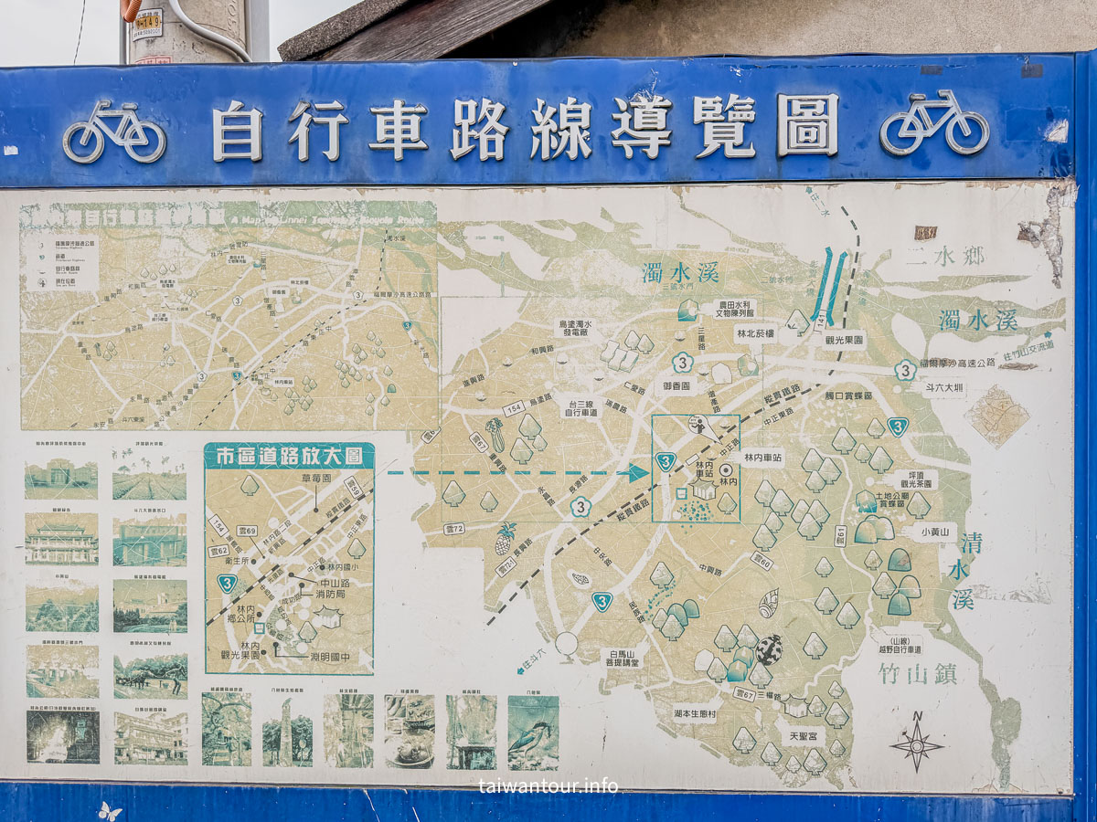 【雲林林內一日遊美食.景點推薦】紫斑蝶、落羽松、採果趣，還有在地美食與爆漿菠蘿！