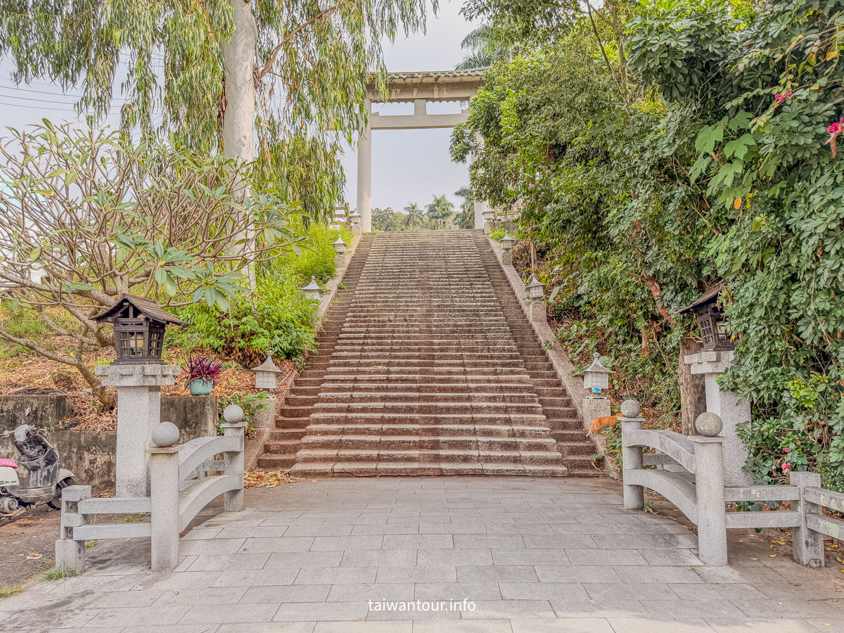 【雲林林內一日遊美食.景點推薦】紫斑蝶、落羽松、採果趣，還有在地美食與爆漿菠蘿！