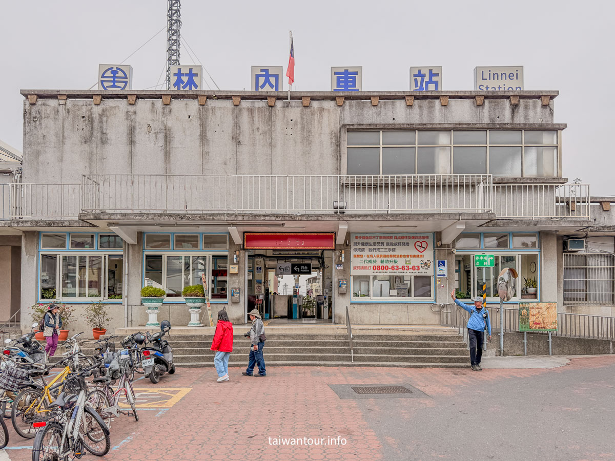 【雲林林內一日遊美食.景點推薦】紫斑蝶、落羽松、採果趣，還有在地美食與爆漿菠蘿！