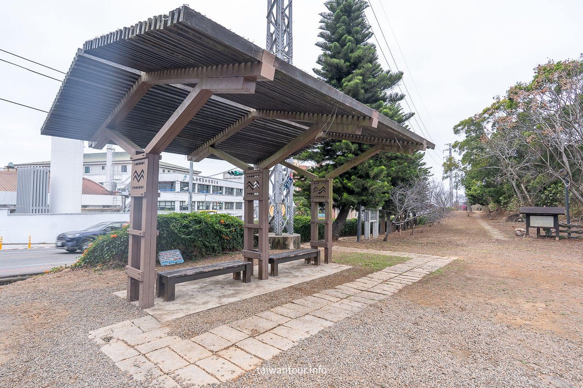 【銅鑼炮仗花海公園】苗栗櫻花和炮仗花牆