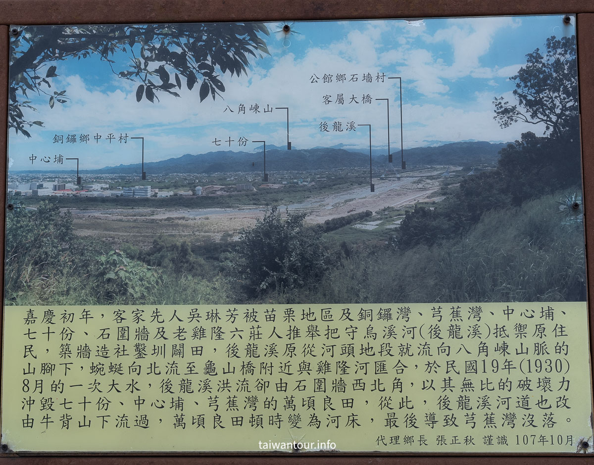 【銅鑼炮仗花海公園】苗栗櫻花和炮仗花牆