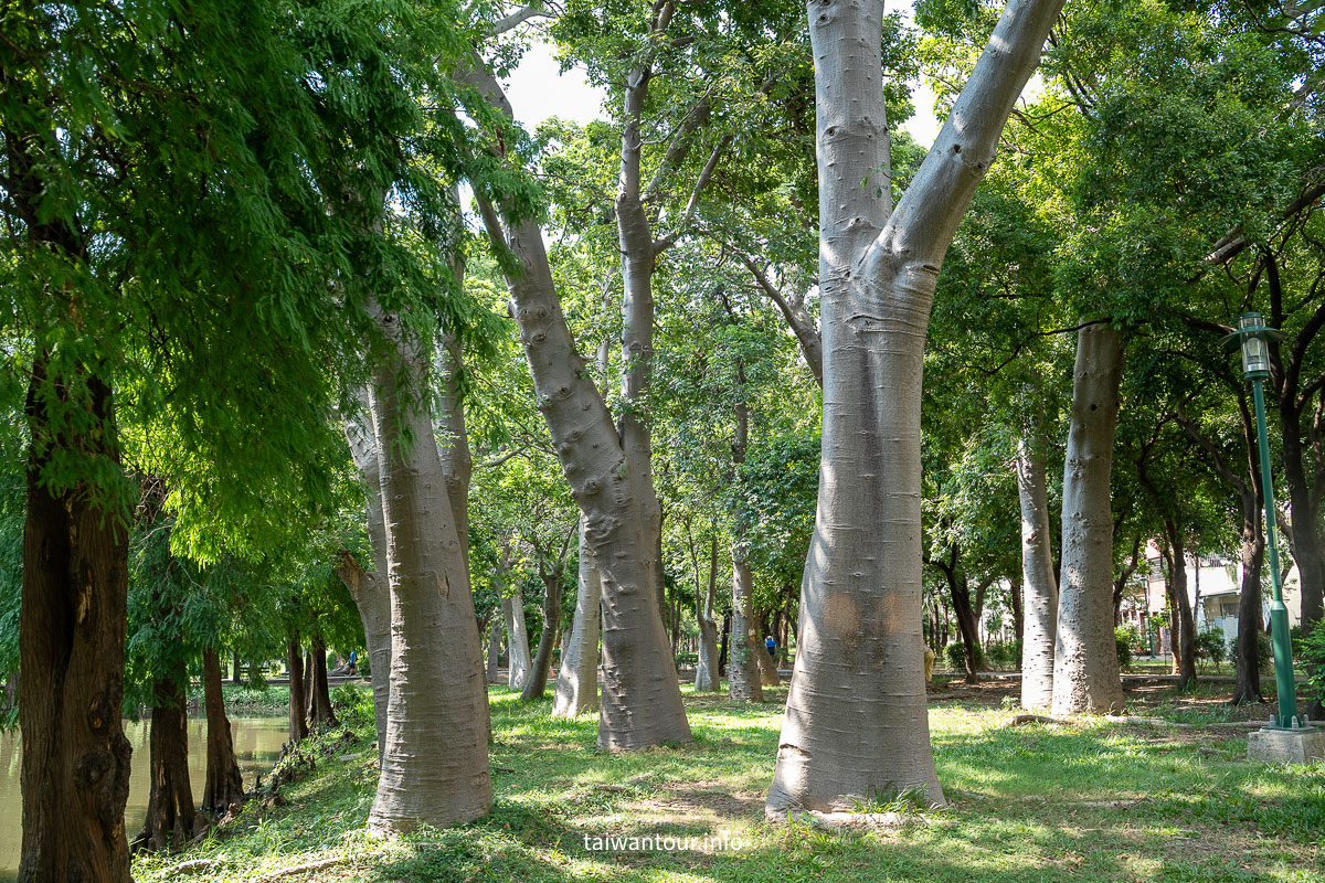 【巴克禮紀念公園】台南親子森林.螢火蟲.落雨松