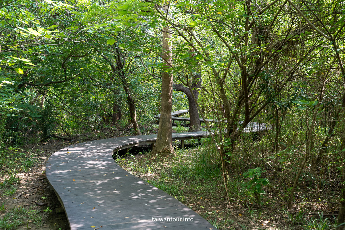 【巴克禮紀念公園】台南親子森林.螢火蟲.落雨松