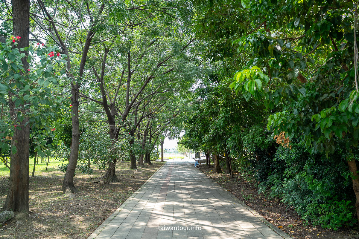 【巴克禮紀念公園】台南親子森林.螢火蟲.落雨松
