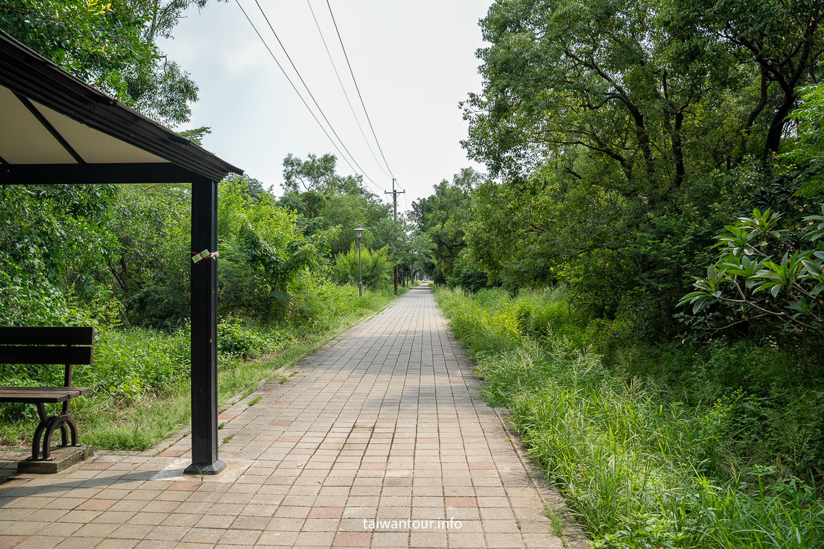 【巴克禮紀念公園】台南親子森林.螢火蟲.落雨松