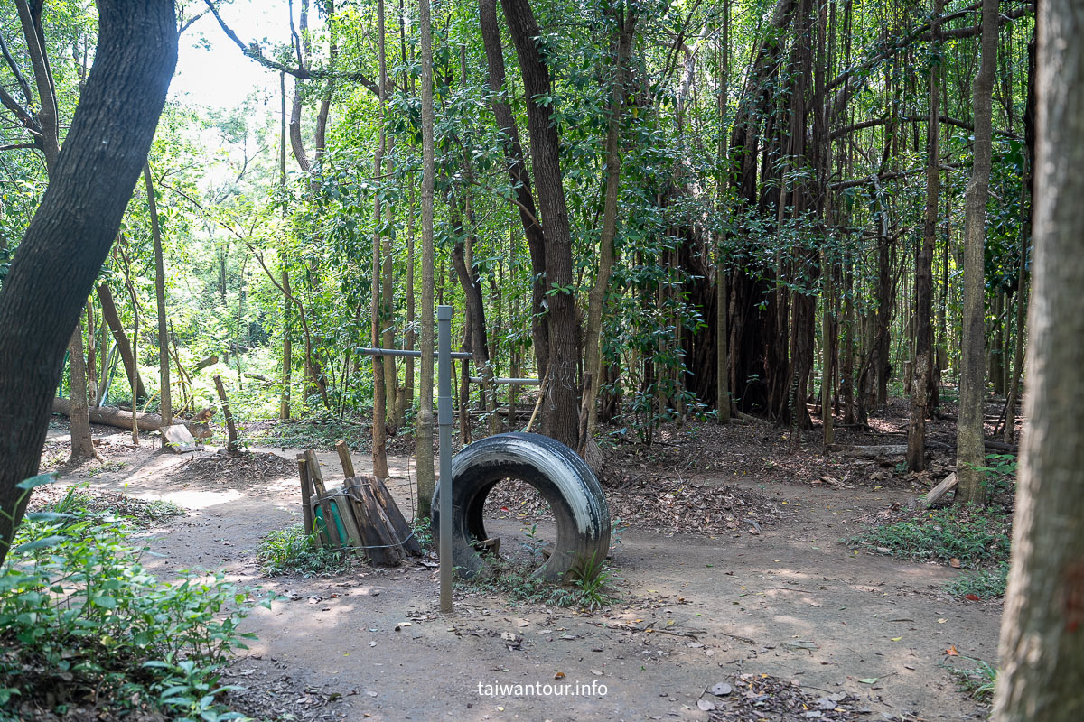 【巴克禮紀念公園】台南親子森林.螢火蟲.落雨松