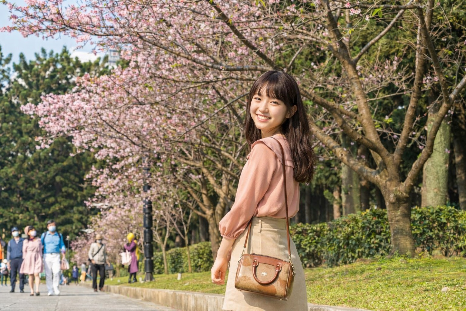 【2026中正紀念堂櫻花季】台北花況.交通怎麼去捷運站