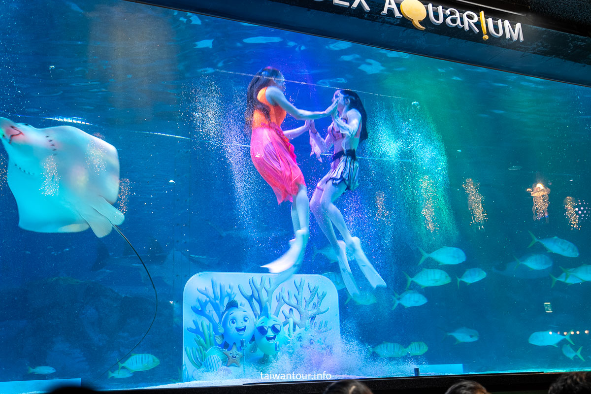 【星空圖書館 (Starfield Library)】網美打卡！交通.美食.拍攝秘訣全攻略