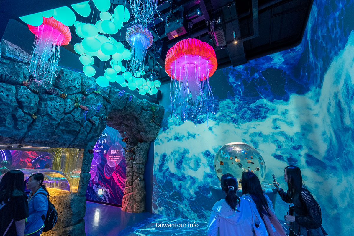 【COEX 水族館】首爾水族館門票.交通.美人魚秀.韓劇拍攝地一次看！