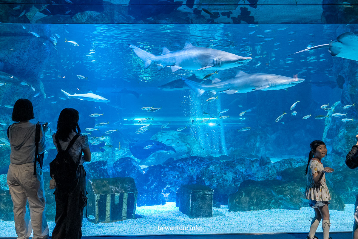 【COEX 水族館】首爾水族館門票.交通.美人魚秀.韓劇拍攝地一次看！