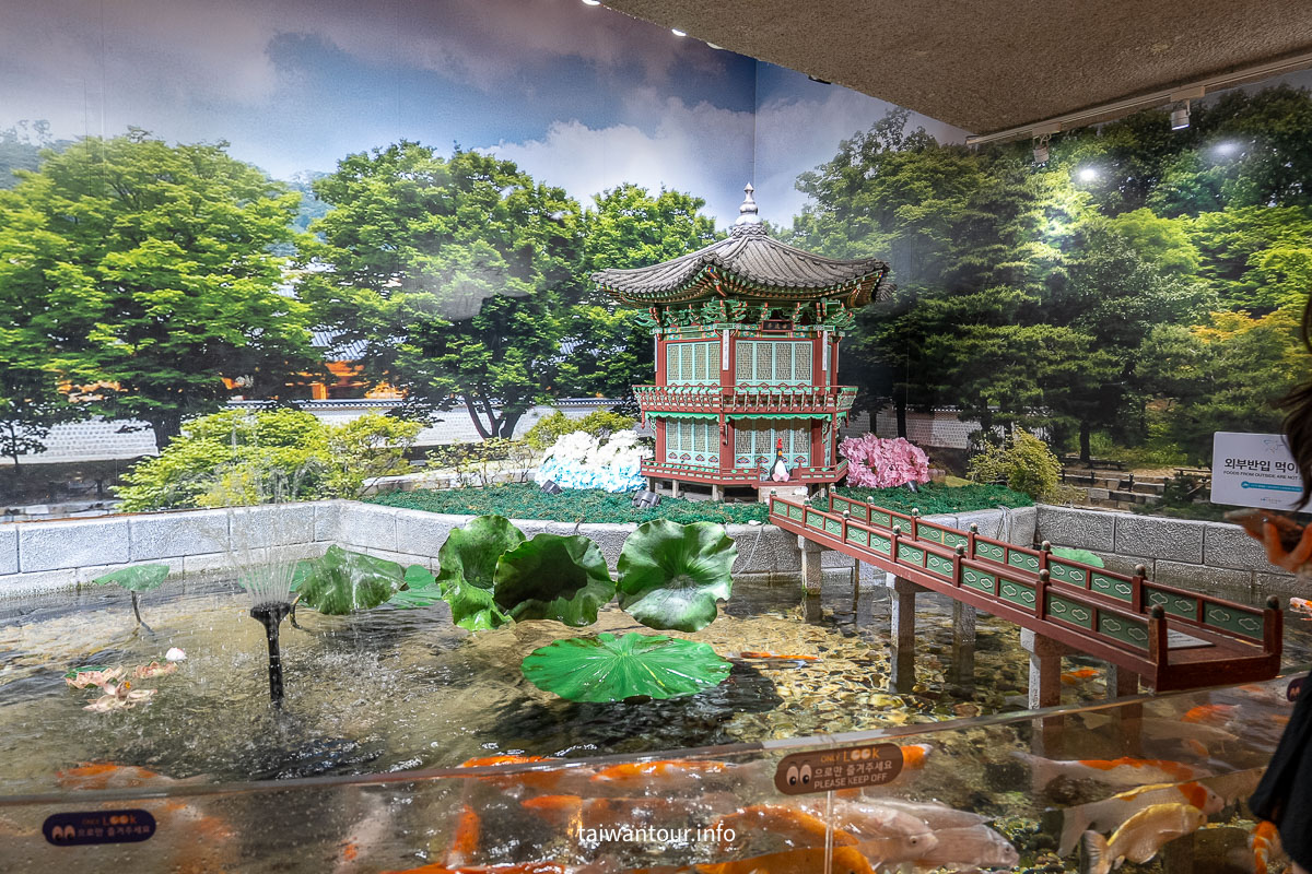 【COEX 水族館】首爾水族館門票.交通.美人魚秀.韓劇拍攝地一次看！