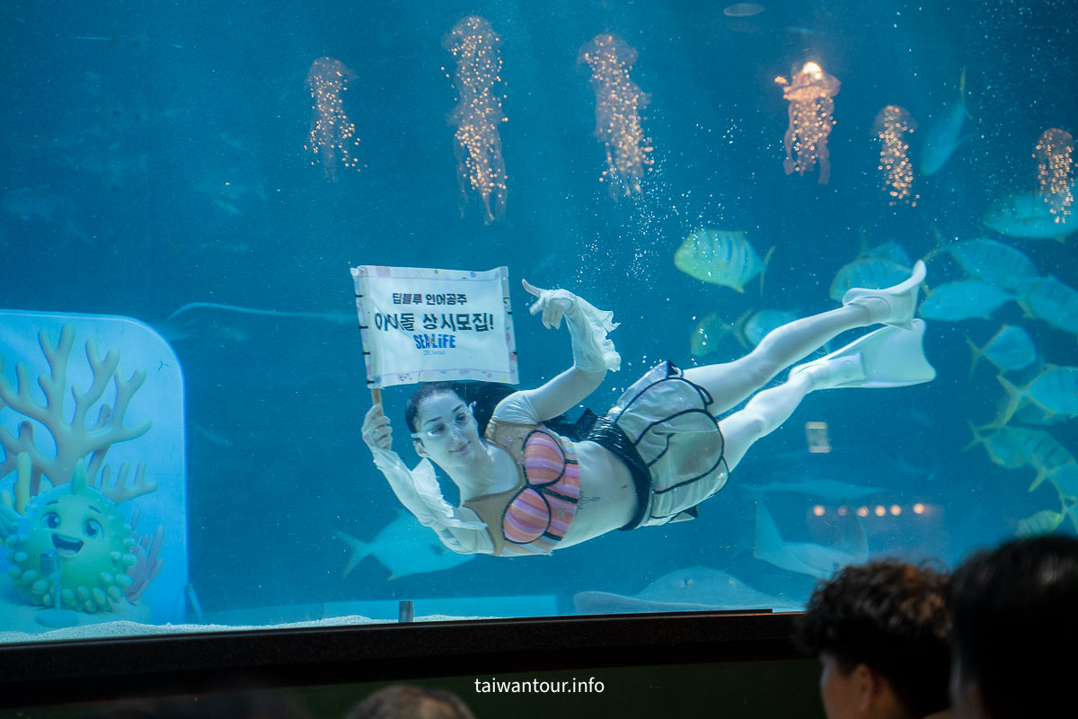 【COEX 水族館】首爾水族館門票.交通.美人魚秀.韓劇拍攝地一次看！