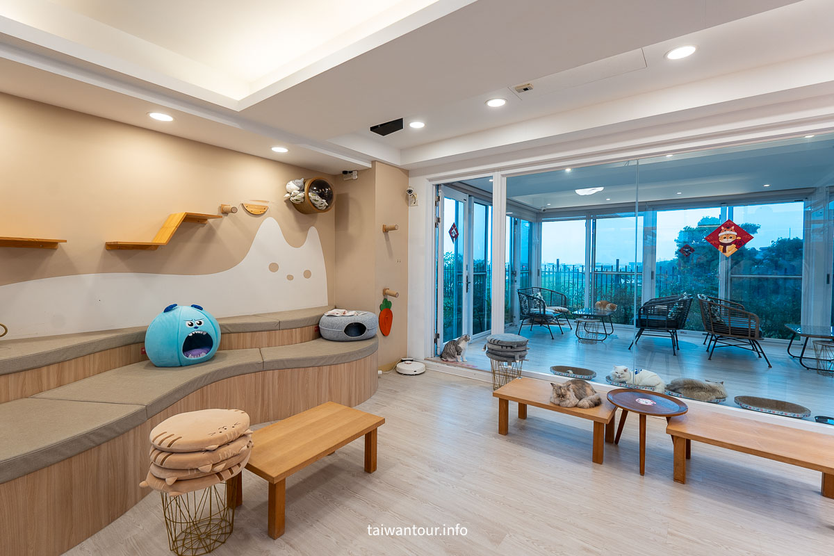 【綠舞國際觀光飯店】免飛日本！日式庭園、豪華海景房、萌寵互動X親子體驗懶人包