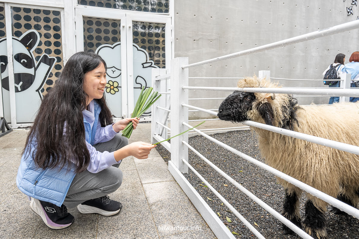 【綠舞國際觀光飯店】免飛日本!日式庭園、豪華海景房、萌寵互動X親子體驗懶人包 【綠舞國際觀光飯店】免飛日本!日式庭園、豪華海景房、萌寵互動X親子體驗懶人包