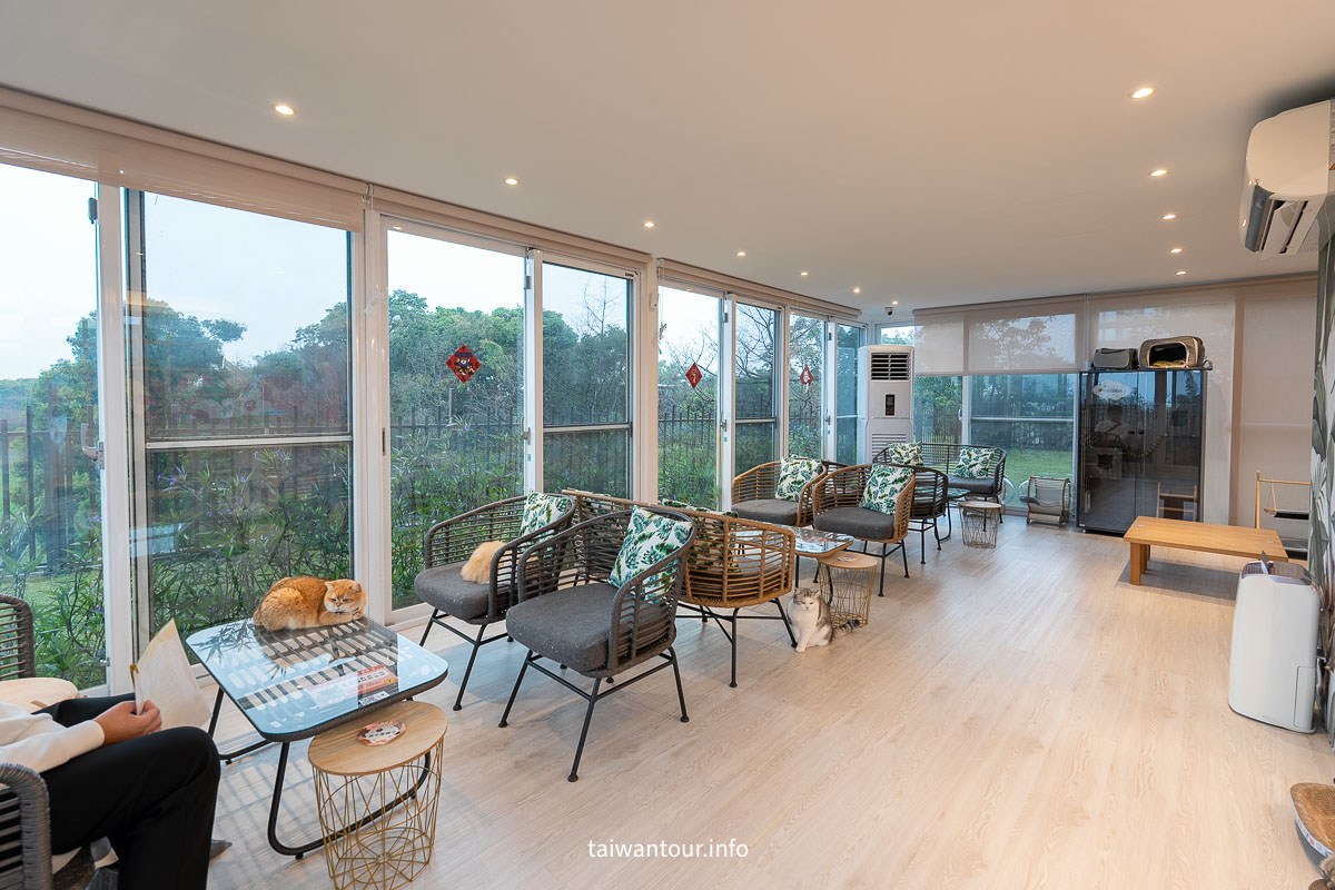 【綠舞國際觀光飯店】免飛日本！日式庭園、豪華海景房、萌寵互動X親子體驗懶人包