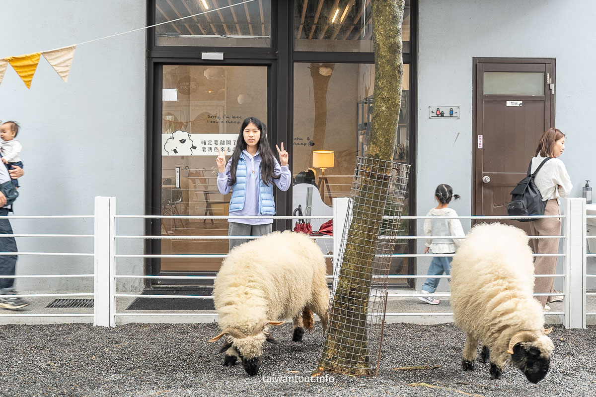 【綠舞國際觀光飯店】免飛日本！日式庭園、豪華海景房、萌寵互動X親子體驗懶人包