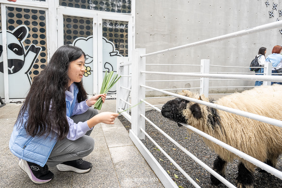【綠舞國際觀光飯店】免飛日本！日式庭園、豪華海景房、萌寵互動X親子體驗懶人包