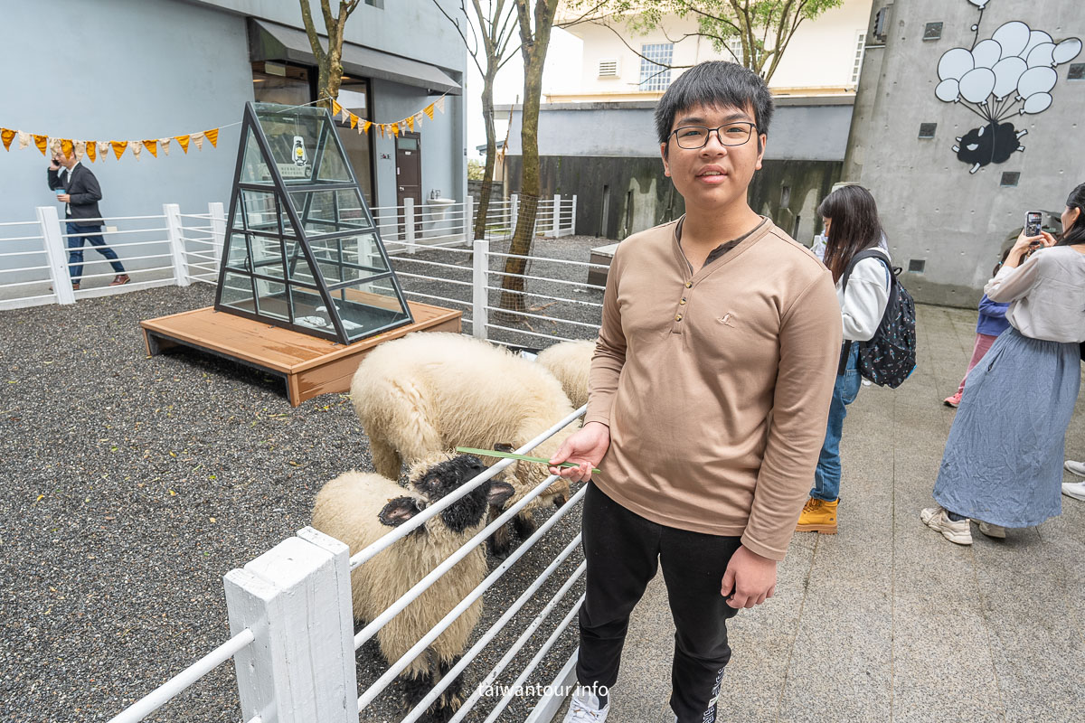 【綠舞國際觀光飯店】免飛日本！日式庭園、豪華海景房、萌寵互動X親子體驗懶人包