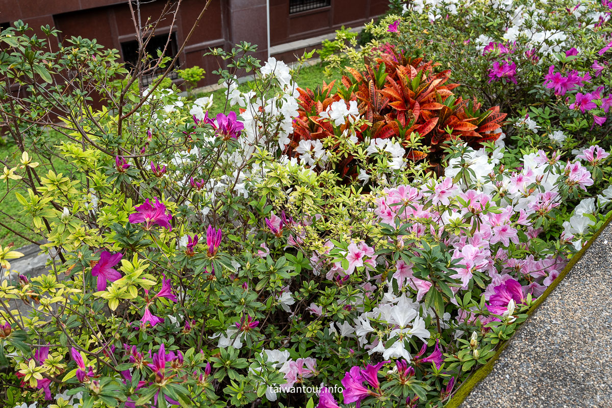 【北投關渡宮】台灣三大媽祖廟之一.更是求財聖地.景點推薦