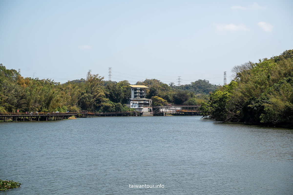 【峨眉湖環湖步道】新竹黃花風鈴木爆炸開！細茅埔吊橋、彌勒大佛、遊湖秘境一日遊