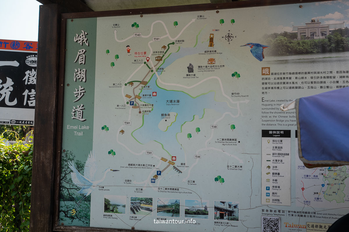 【峨眉湖環湖步道】新竹黃花風鈴木爆炸開！細茅埔吊橋、彌勒大佛、遊湖秘境一日遊