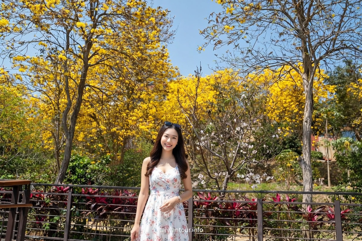 【峨眉湖環湖步道】新竹黃花風鈴木爆炸開！細茅埔吊橋、彌勒大佛、遊湖秘境一日遊