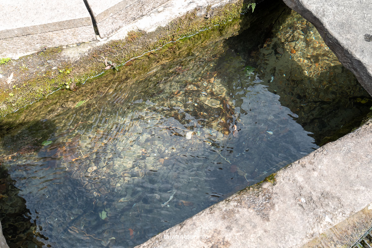 【南庄桂花巷老街美食景點懶人包】苗栗推薦行程