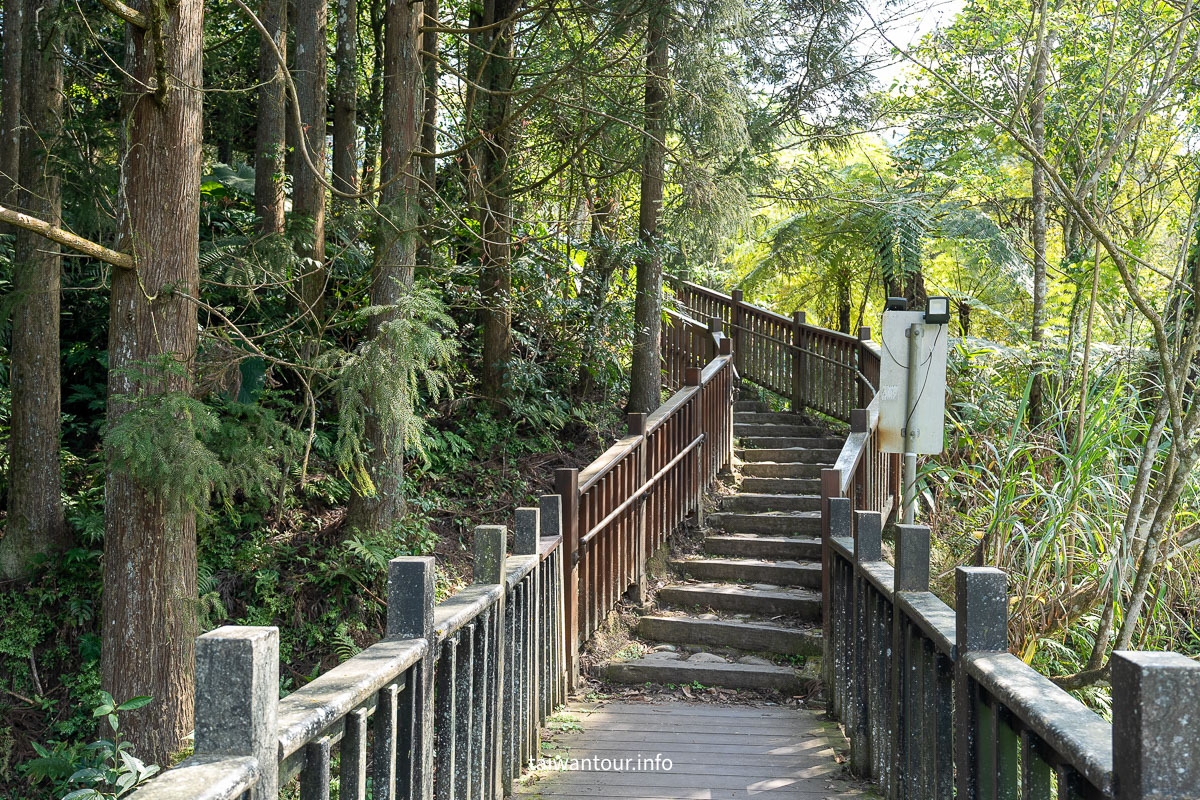 【南庄向天湖友善步道】賽夏傳說.台灣版歐洲湖景