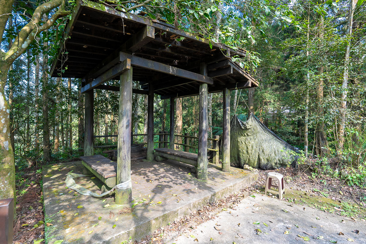 【南庄向天湖友善步道】賽夏傳說.台灣版歐洲湖景