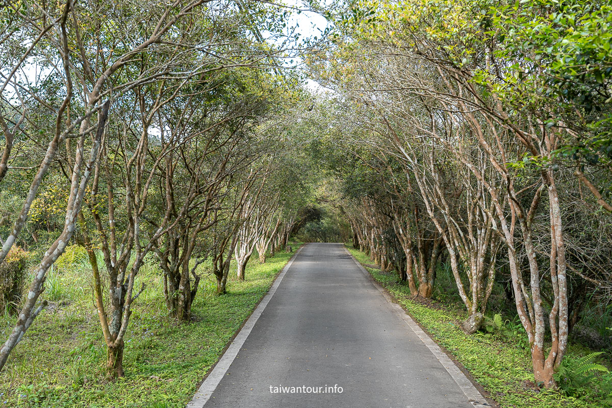 【南庄向天湖友善步道】賽夏傳說.台灣版歐洲湖景