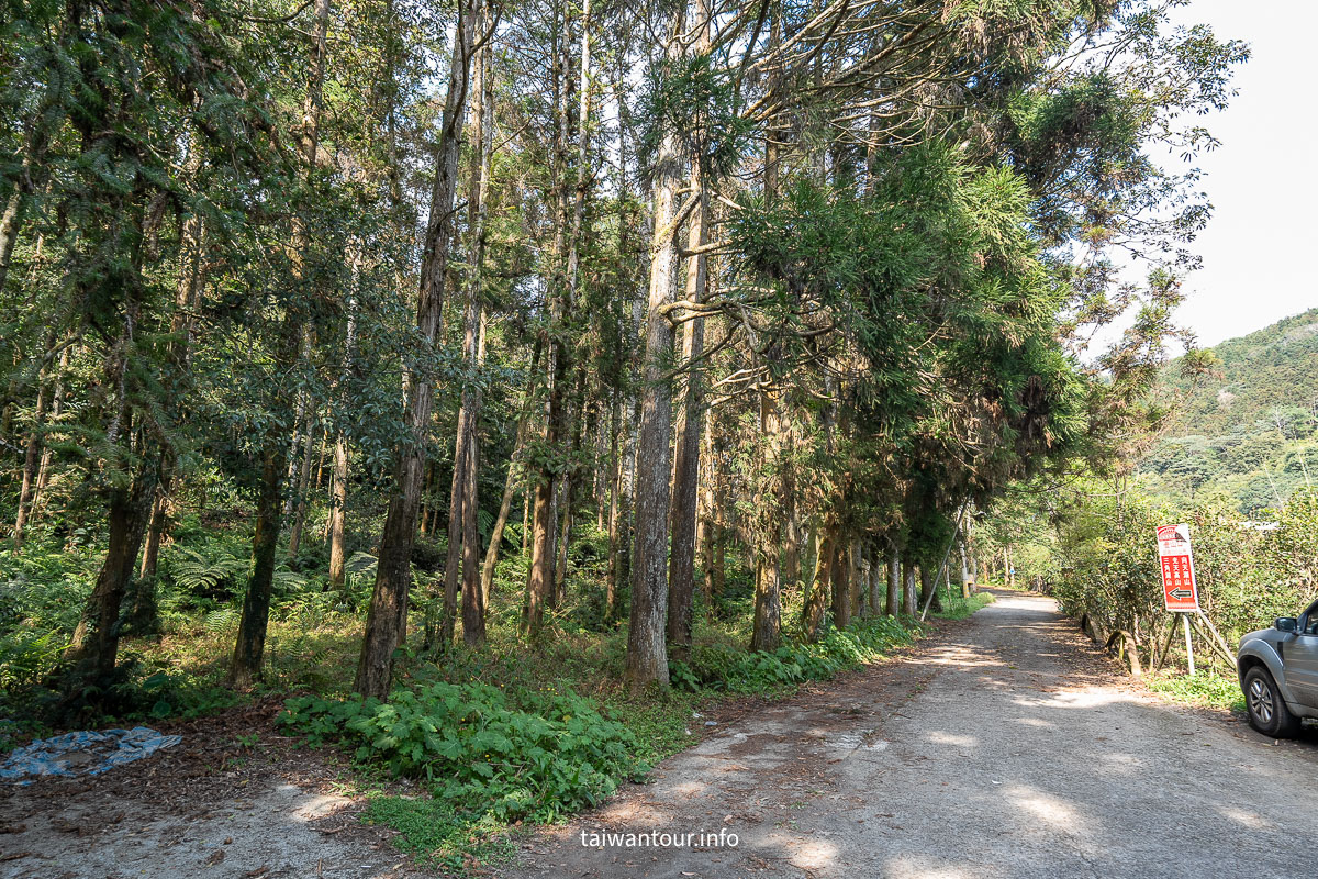 【南庄向天湖友善步道】賽夏傳說.台灣版歐洲湖景