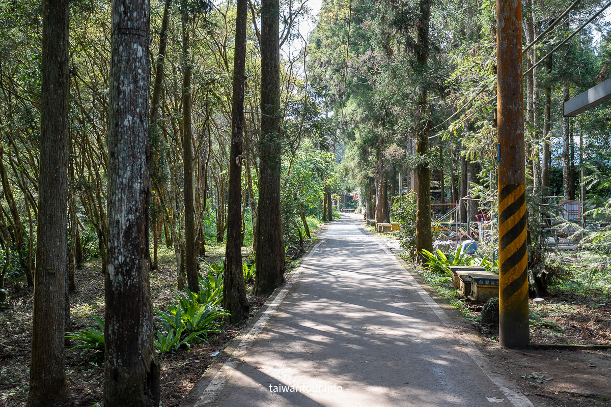 【南庄向天湖友善步道】賽夏傳說.台灣版歐洲湖景