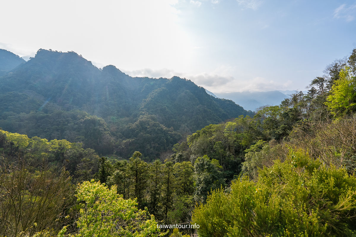 【山行玫瑰景觀咖啡】苗栗南庄絕美山林秘境